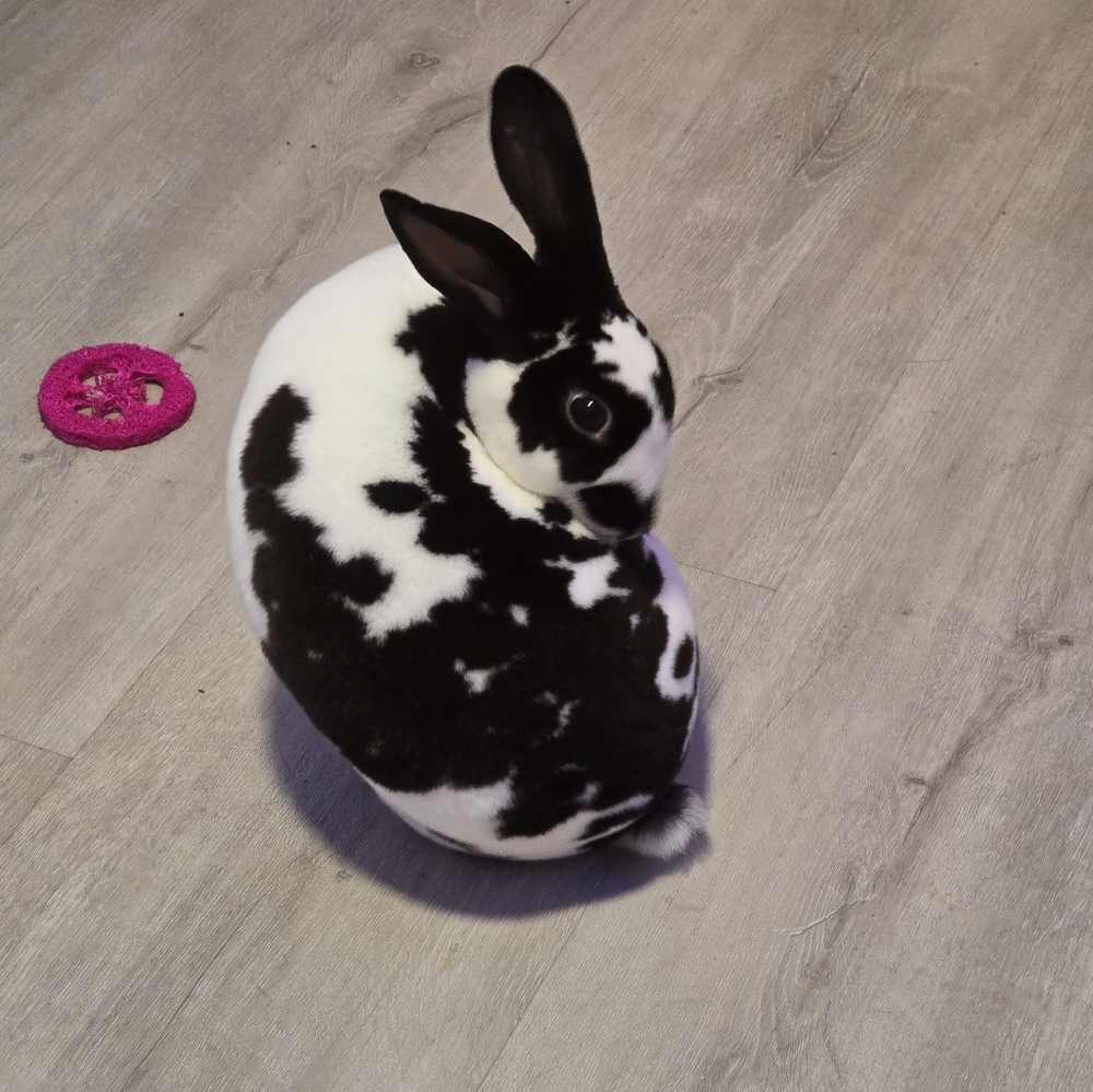 Meet your Posher, Kellie